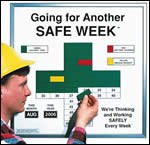 Safety awareness motivational system