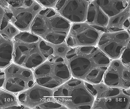 50X photo micrograph of carbon foam