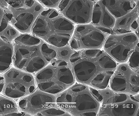 50X photo micrograph of carbon foam