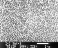 SEM of the surface after treatment