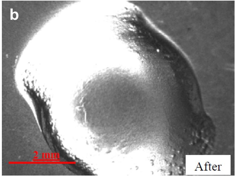 Pivot surface of a titanium orifice ring after polishing.
