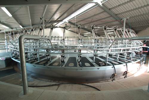 Milking platforms: Composites transform New Zealand cow sheds
