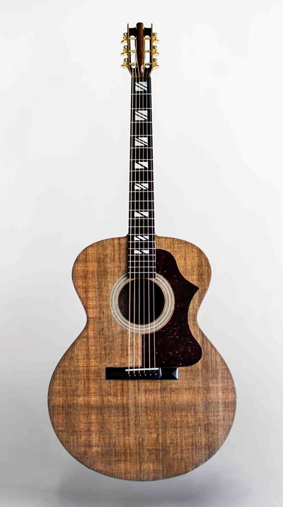 Bio-prepreg guitar: The look, feel, acoustic quality of wood