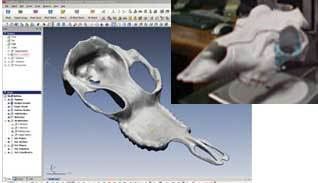 Scanner Touch Tool Determines Parting Lines on Free Form Parts