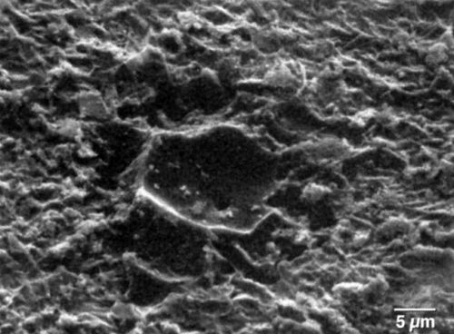 Paint Rupture The Systems View in Automotive Finishes: Essential, but Overlooked ...