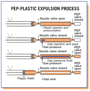 CGI’s PEP process 