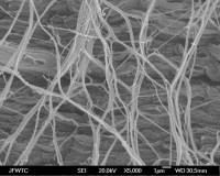 Nano-fibrillated thermoplastic network