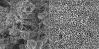 Nanotube dispersion comparison