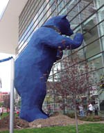Big blue bear