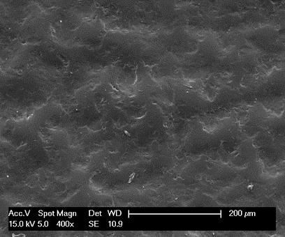 surface micrograph
