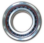 Hybrid bearing
