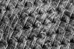 Recycling carbon fiber for structural applications