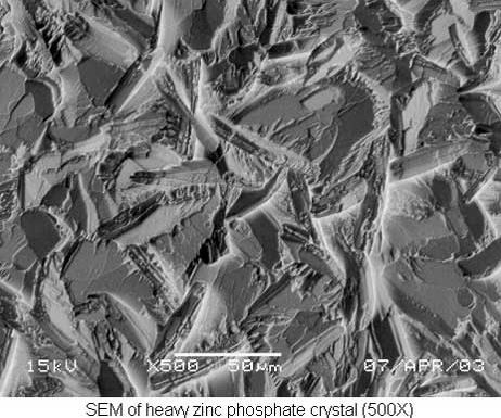 SEM of heavy zinc phosphate crystal (500x)