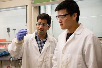 Clemson researchers developing composite materials from trees 
