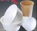 Spray-coated copolyester