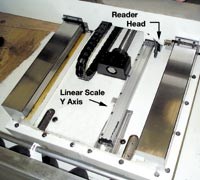 Y-axis linear scale