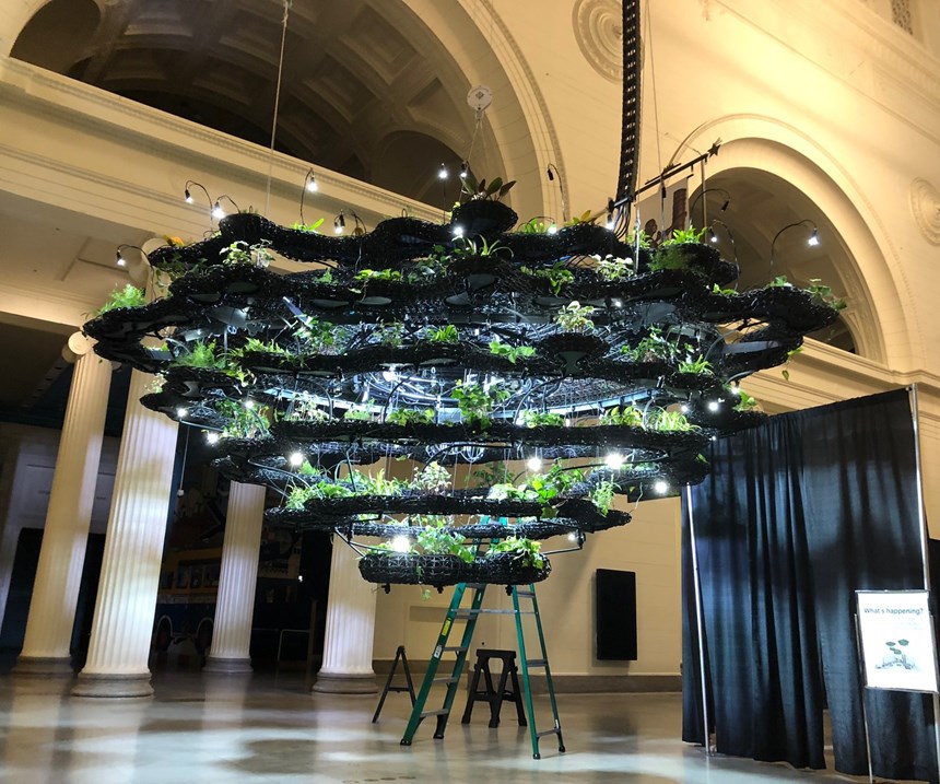 A 3D-printed Nature Cloud at the Field Museum in Chicago