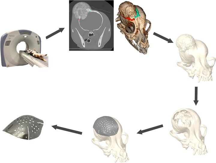 workflow for custom titanium cranial implants 