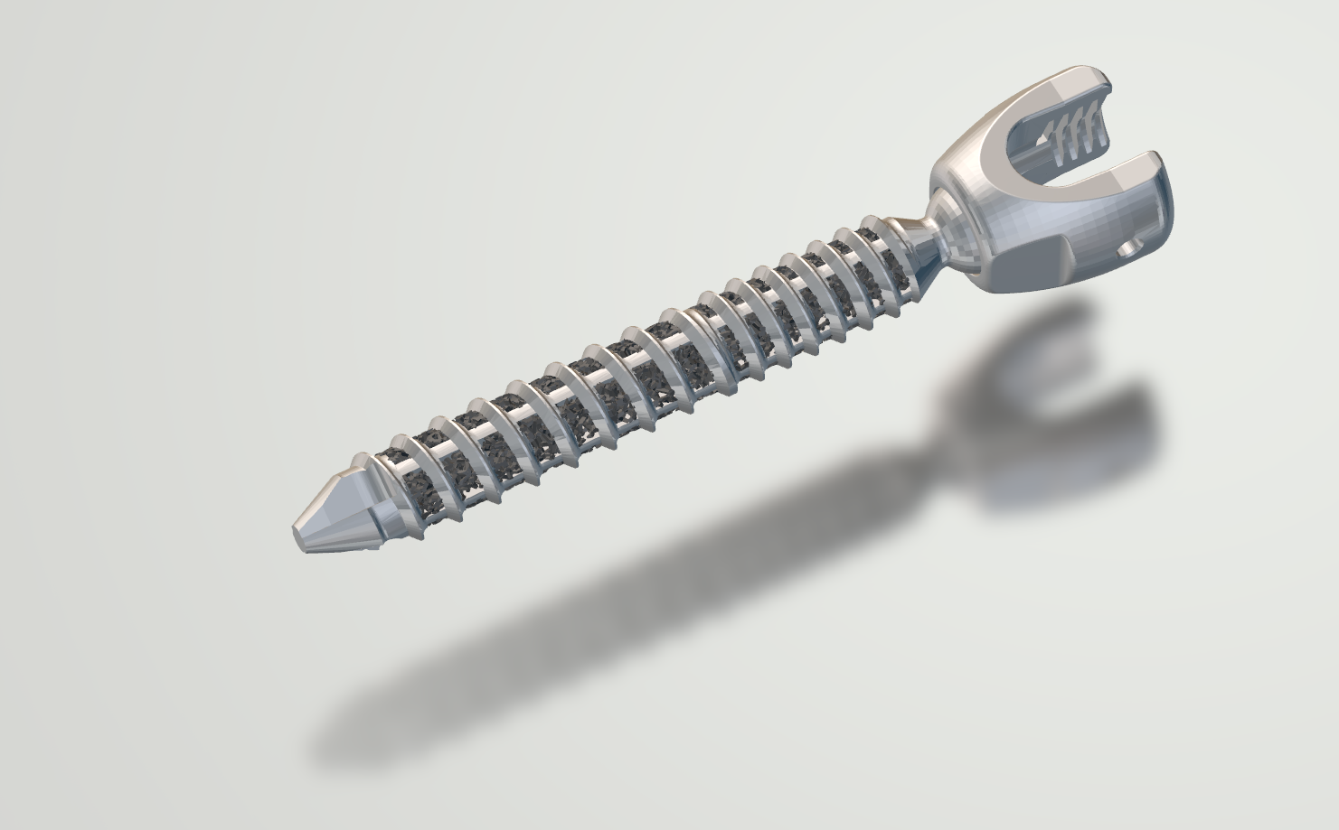 Orthopedic Screws