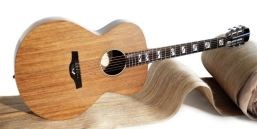 LingroveEkoa flax fiber bio epoxy composite in Blackbird Guitars