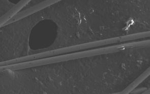 Scanning electron micrograph virgin carbon fiber