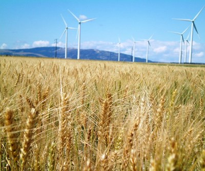 AWEA releases US Wind Industry Annual Market Report