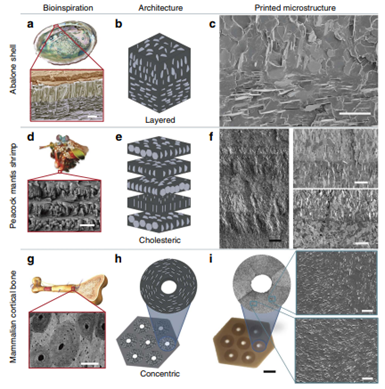 Fortify Fluxprint process voxel level control over fiber orientation during composite 3D printing