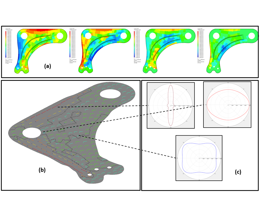 QSD structural optimization results may be displayed as direct variable fields and stiffness polar plots