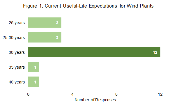 useful life expectations for wind plants