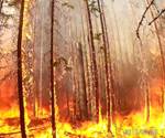 Composite pole and fire shield successfully endure forest fire tests