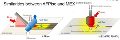 similarities between AFP ISC and MEX