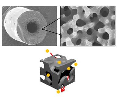 Porous carbon fiber: Permeable, adsorptive and conductive