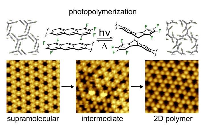 Reaction path from the self-organized molecular structure to the regularly linked 2D polymer.