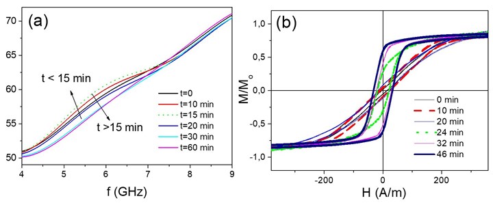 evolution of T and hysteresis loops of microwire array during polymerization