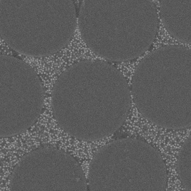 microphoto of a nanosilica fortified laminate