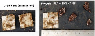 materials before and after biodegradation test