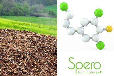 Sperlu prepolymers enable high-performance epoxy resins with up to 80% bio-based content