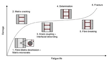 degradation process of a composite ply during cyclic loading