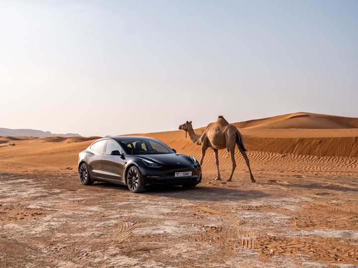 Model 3 and a camel