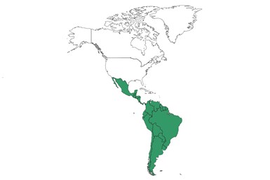 CEPAL refiere que los países de América Latina están mayormente integrados en actividades de cadenas simples y encadenamientos hacia adelante.