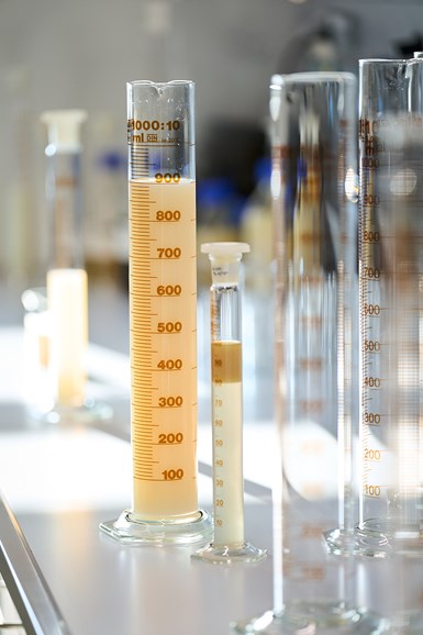 Image of lab measuring tubes with yellowish opaque liquid and empty tubes
