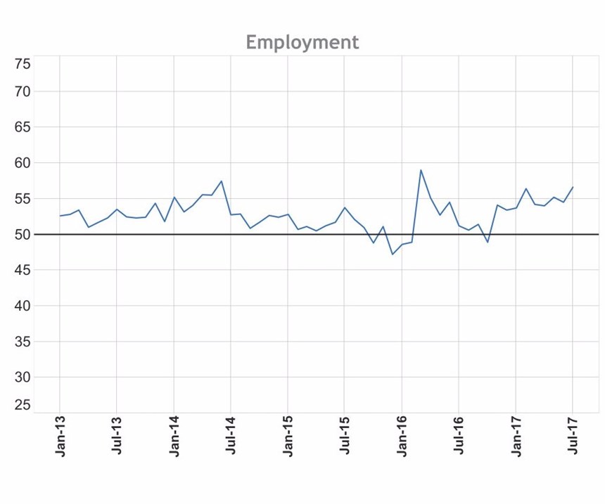 Graph showing employment rates from January 2013 to July 2017