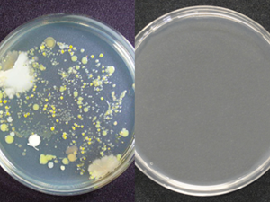Usar recubrimientos antimicrobianos para ayudar a combatir la propagación de gérmenes y bacterias