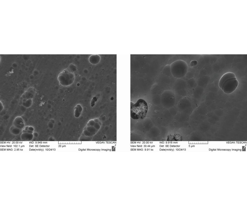scanning electron microscopy images
