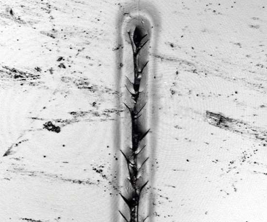 micrograph of a scratch