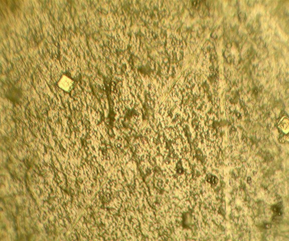 A 400x view of the surface of a coating