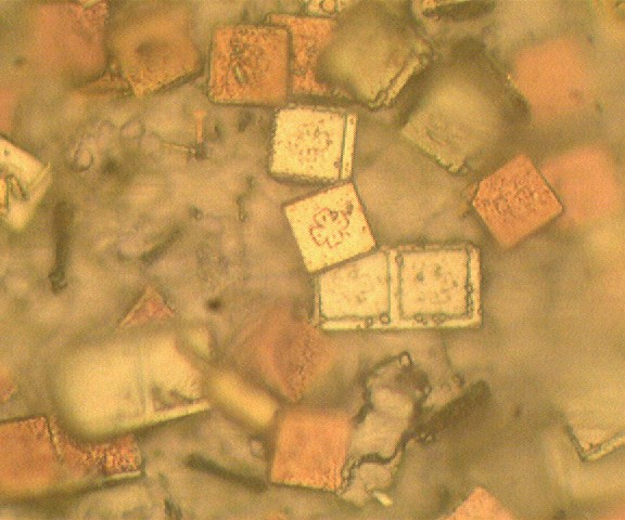 Microtaggants Composite Electroless Nickel Coatings for the Wind Energy Industry ...