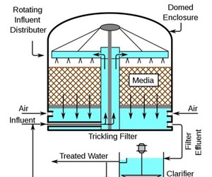 Biological Wastewater Treatment for Industrial Applications