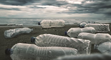 Plastic water bottles on the beach.