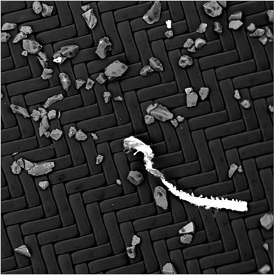 metal abrasives under a microscope using SEM